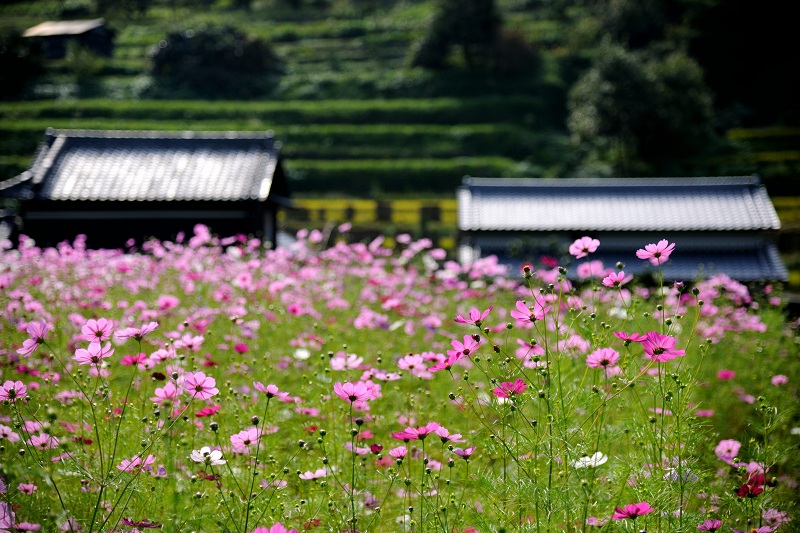 未来自治体全国大会のトップ画像